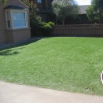 Fake Grass, Synthetic Turf or Stepford Lawns?