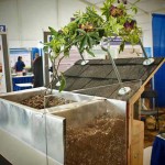 An Innovative Lightweight Living Roof Design – Planter Box and Trellis Retrofit System