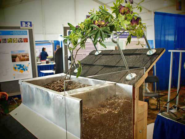 planter box and trellis system