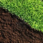 Handy Pointers on Feeding Your Lawn with Organic Fertilizers