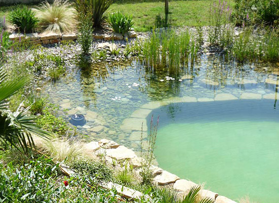 Natural-Swimming-Pool