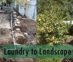 Laundry to Landscape Greywater System Explained in Five Steps