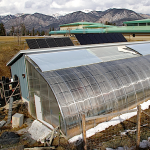 New Passive Solar Greenhouse Design Maximizes Solar Inputs and Reduces Energy Waste